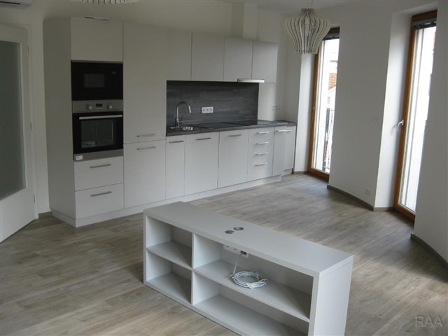 Pokoj s kuchynskou linkou [19/25]