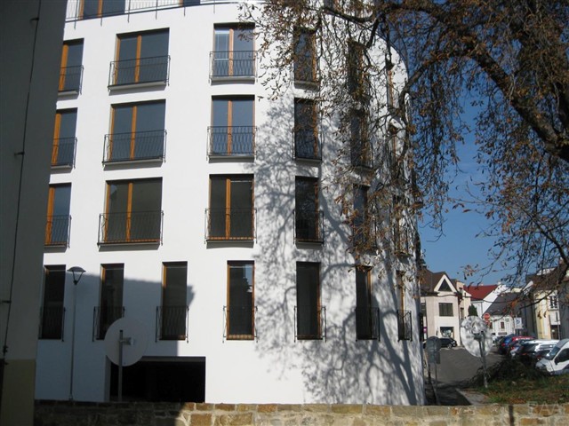 Pohled na dum [3/25]